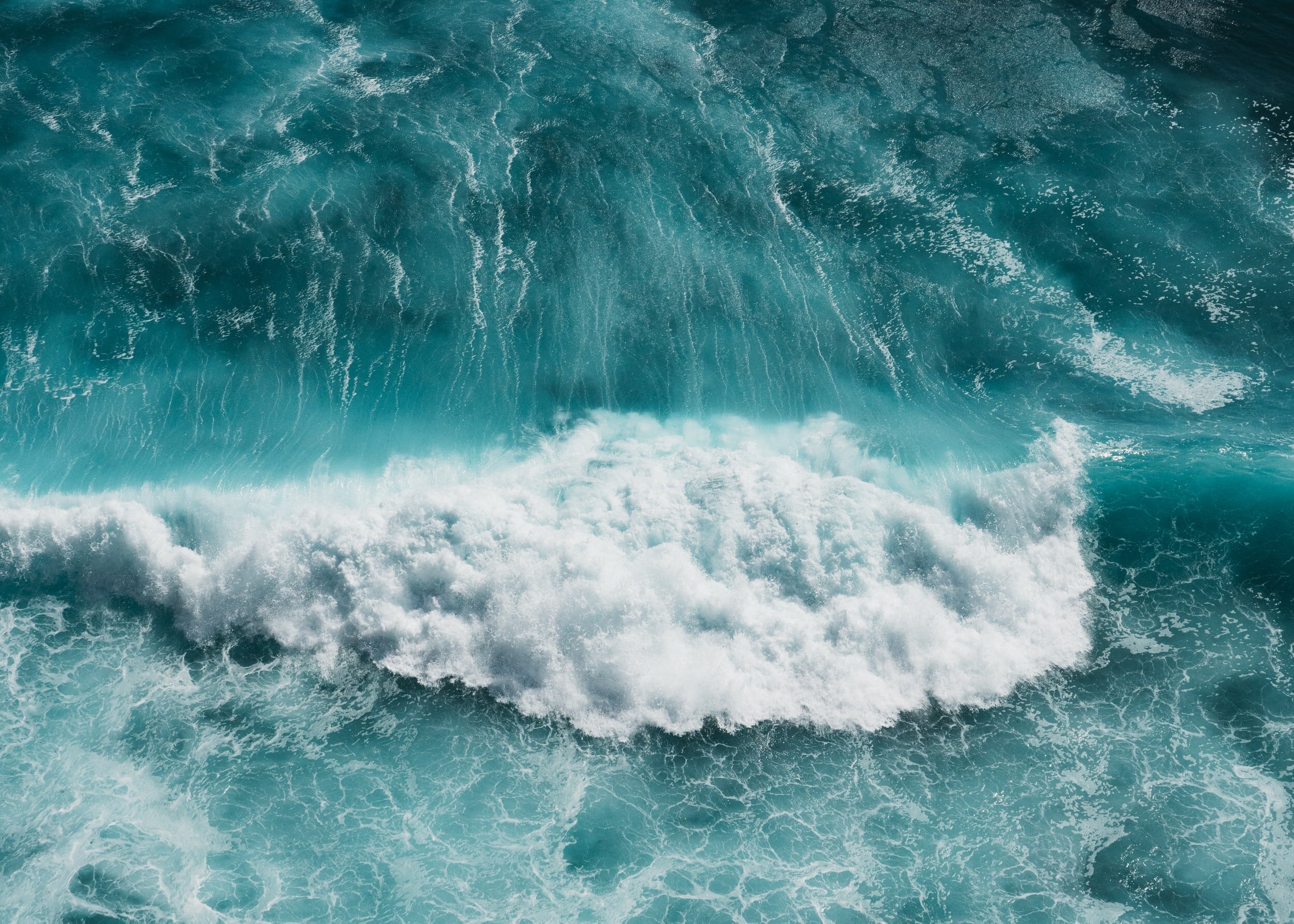 The Buzz of Vibrancy in the Air